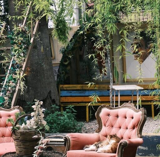 Tips for Creating a Cozy and Inviting Outdoor Living Space at Home